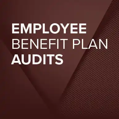 Preparing for a DOL or IRS Audit of Your Employee Benefit Plan